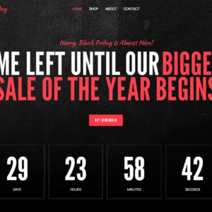 Black Friday Sales