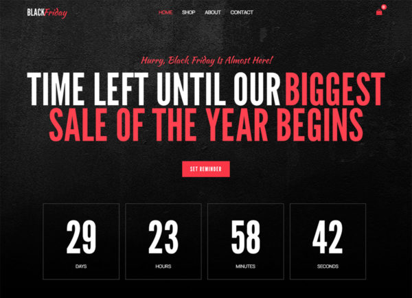 Black Friday Sales