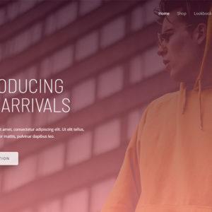 Brandstore Pro