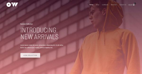 Brandstore Pro